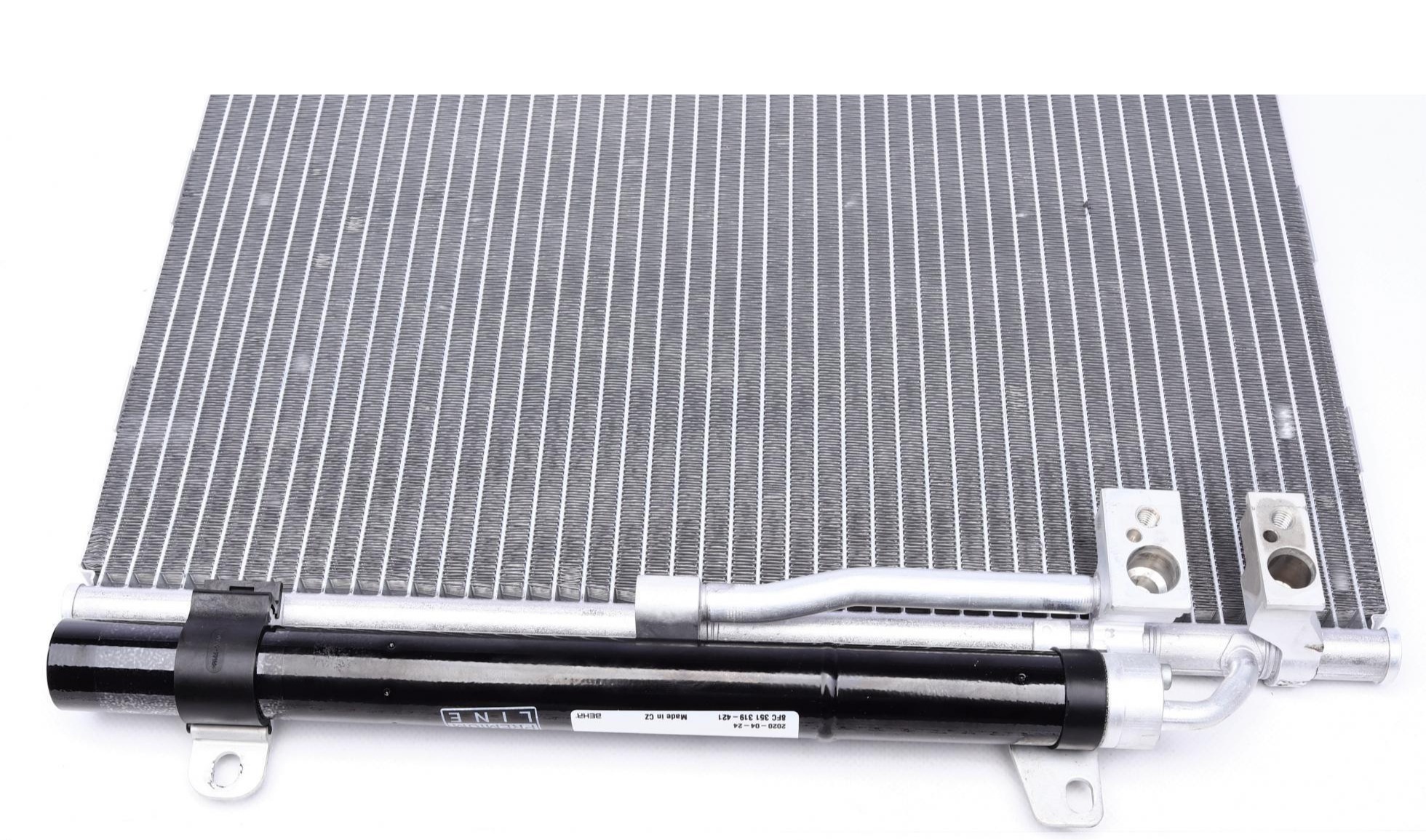 AC733000P MAHLE