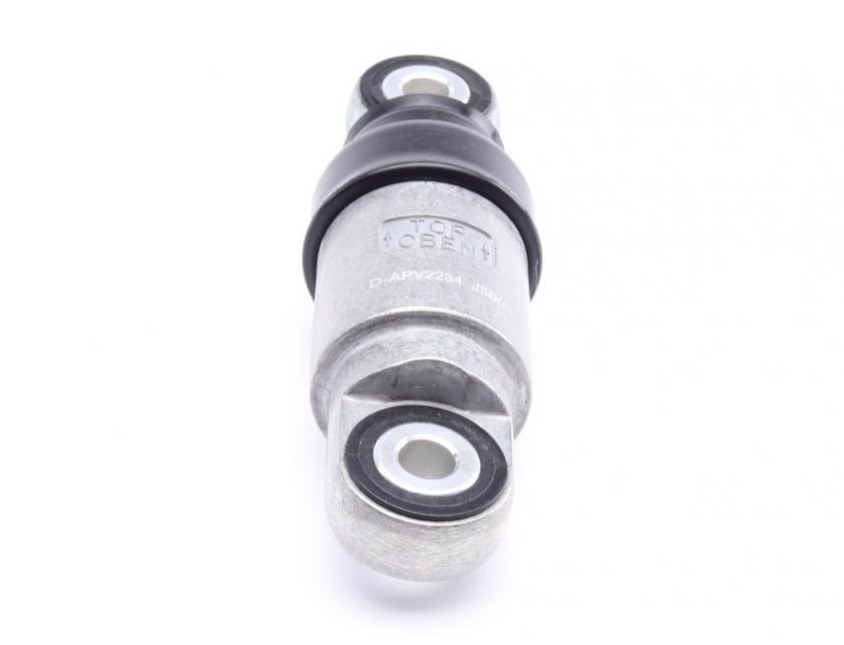 APV2234 DAYCO
