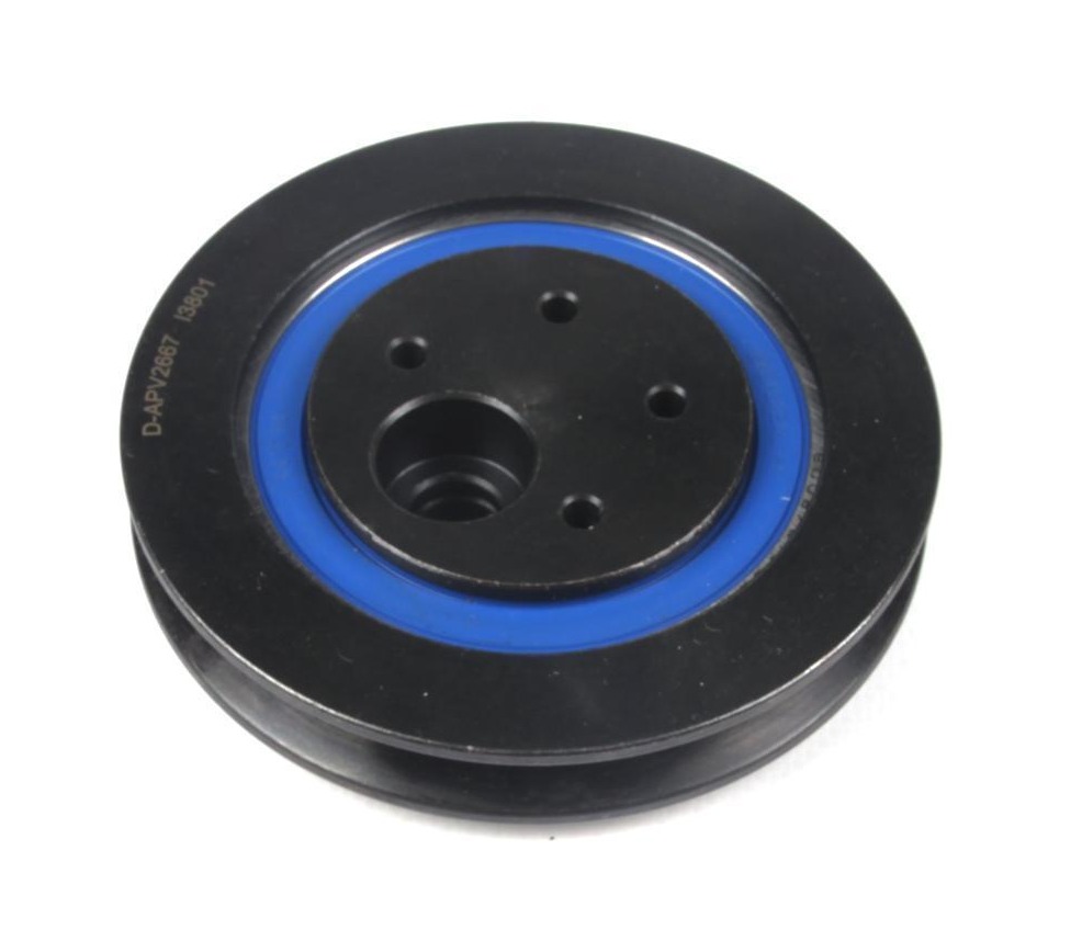 APV2667 DAYCO