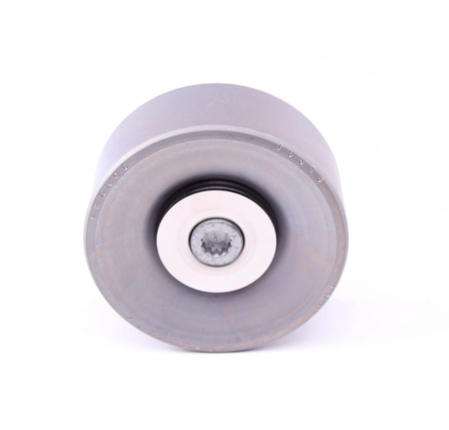 APV3018 DAYCO