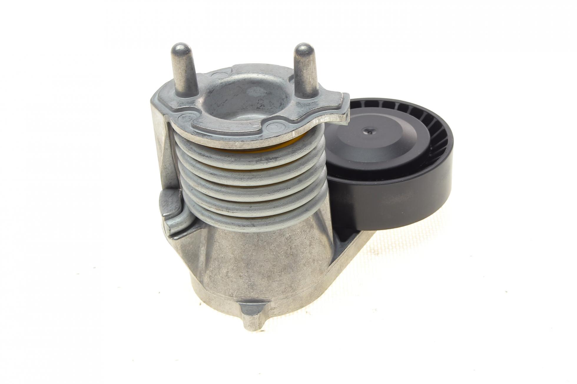 APV3019 DAYCO