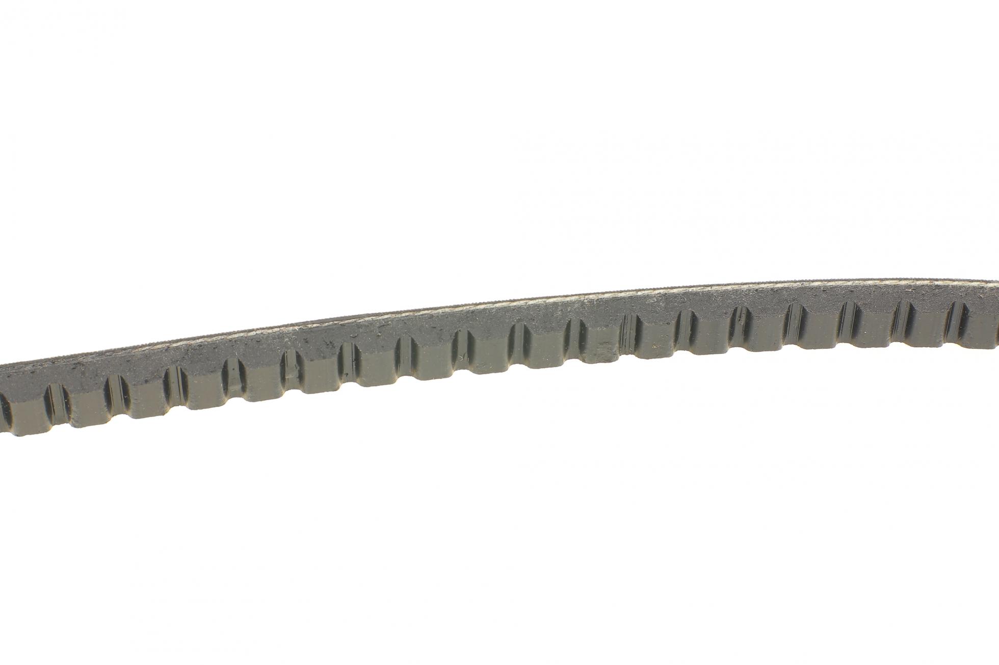AVX13X875 CONTITECH