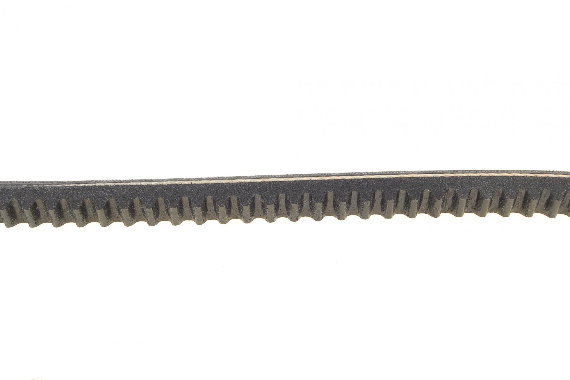 AVX13X925 CONTITECH