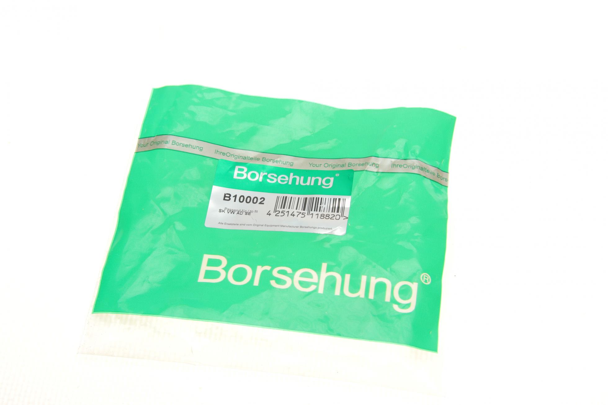 B10002 BORSEHUNG