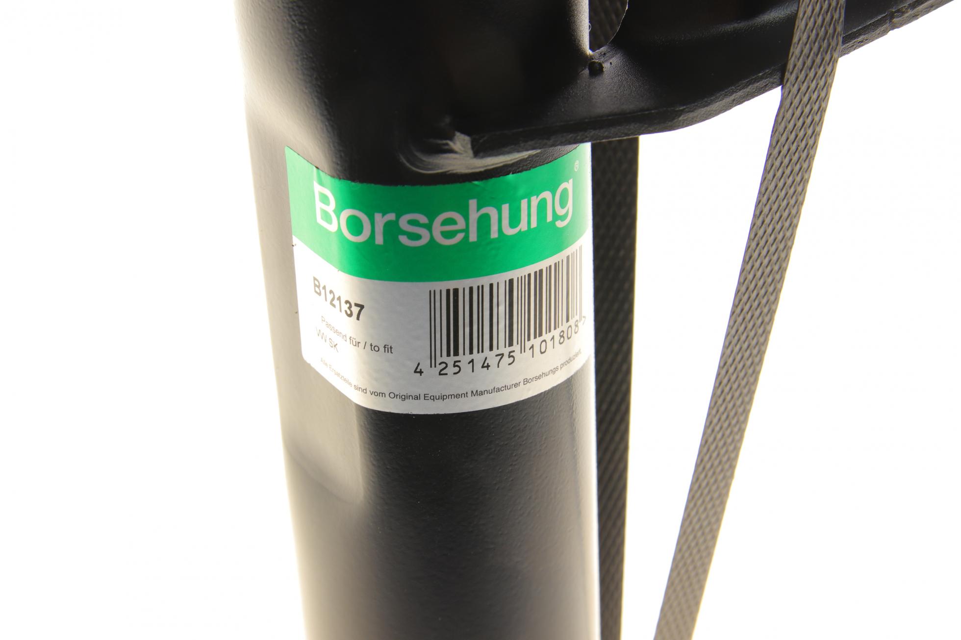 B12137 BORSEHUNG