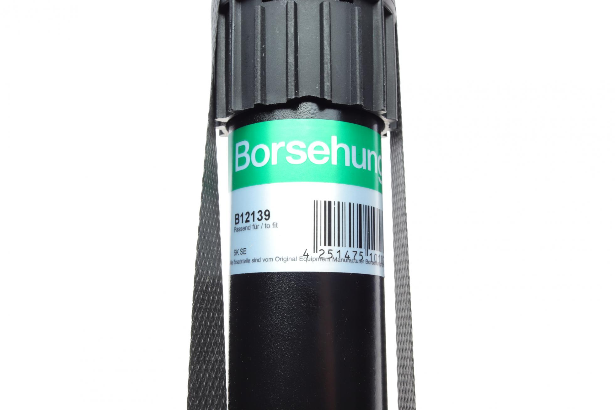 B12139 BORSEHUNG