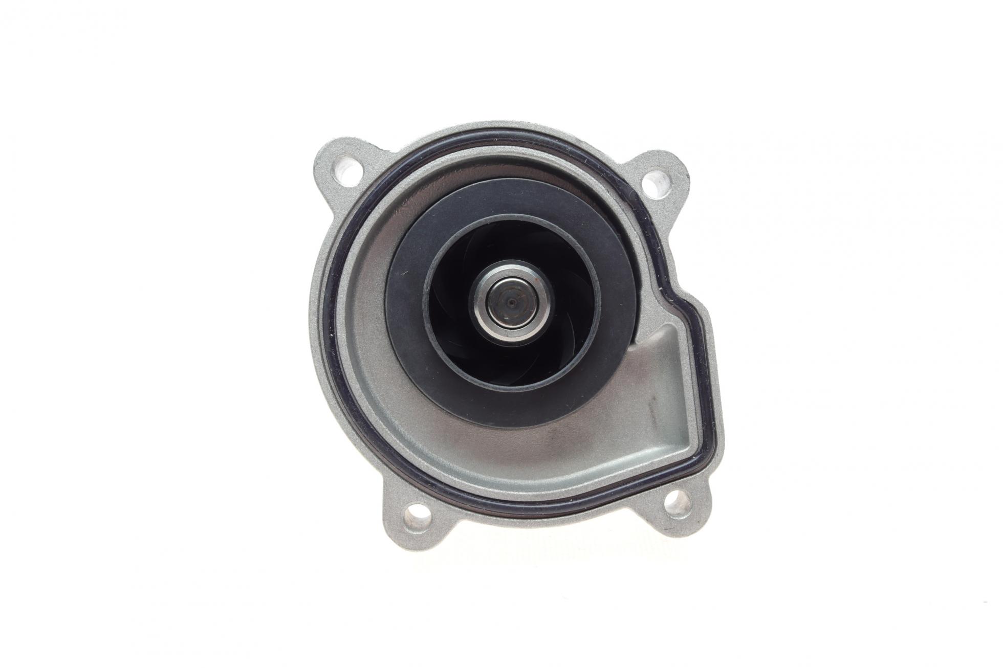 B12696 BORSEHUNG