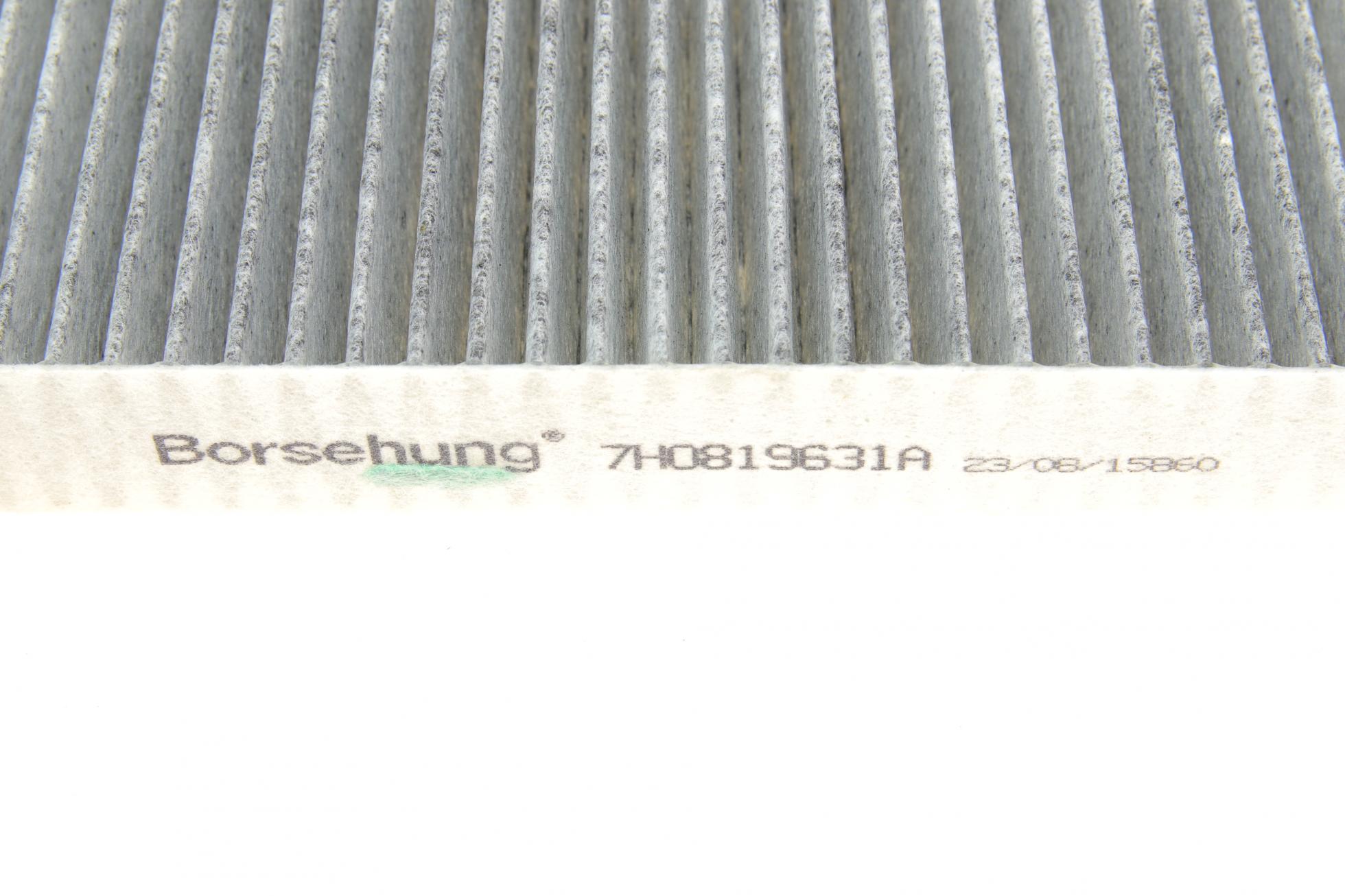 B12799 BORSEHUNG