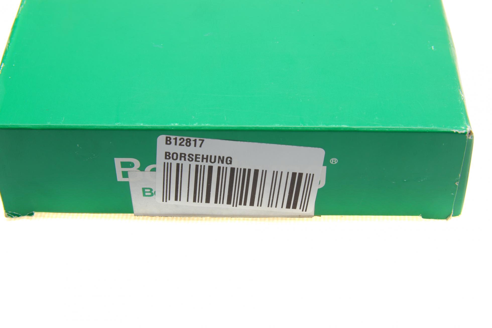 B12817 Borsehung