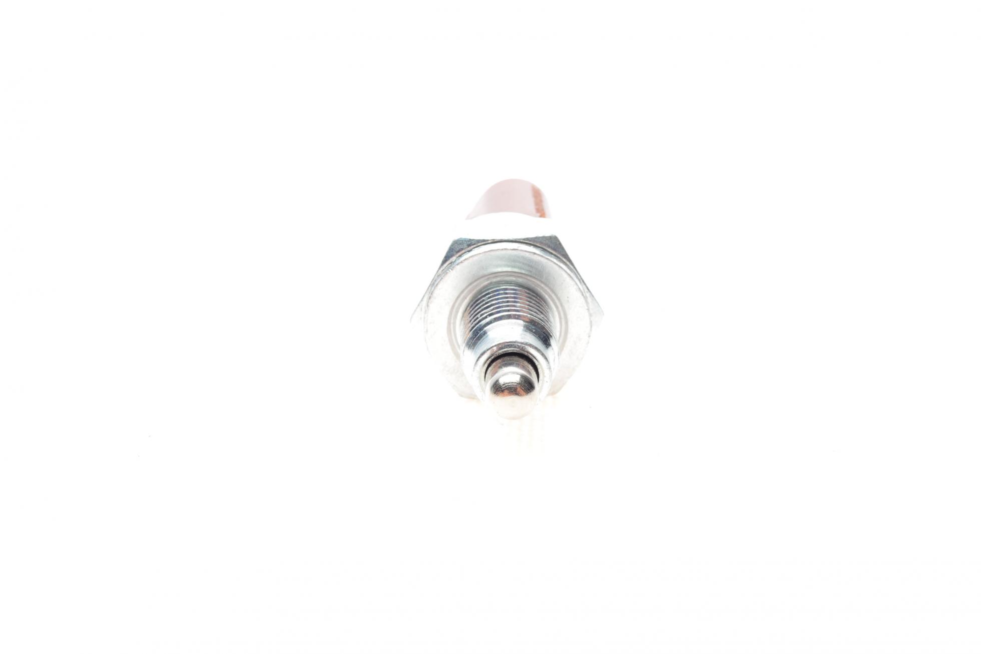 B18006 BORSEHUNG