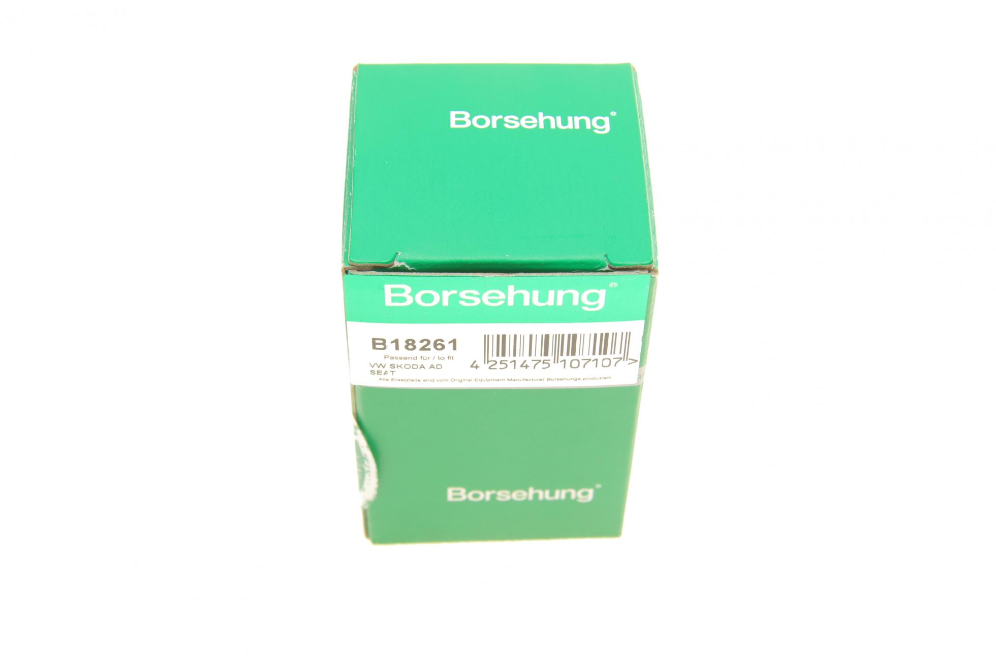 B18261 BORSEHUNG