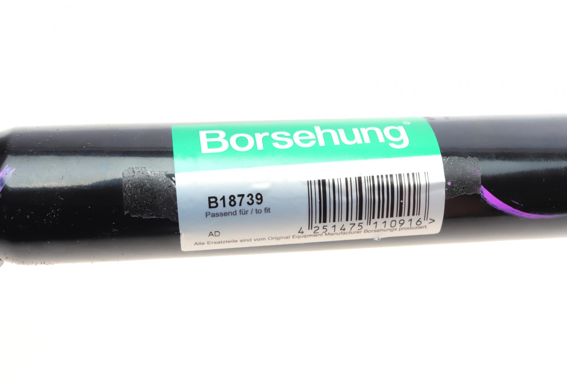 B18739 BORSEHUNG