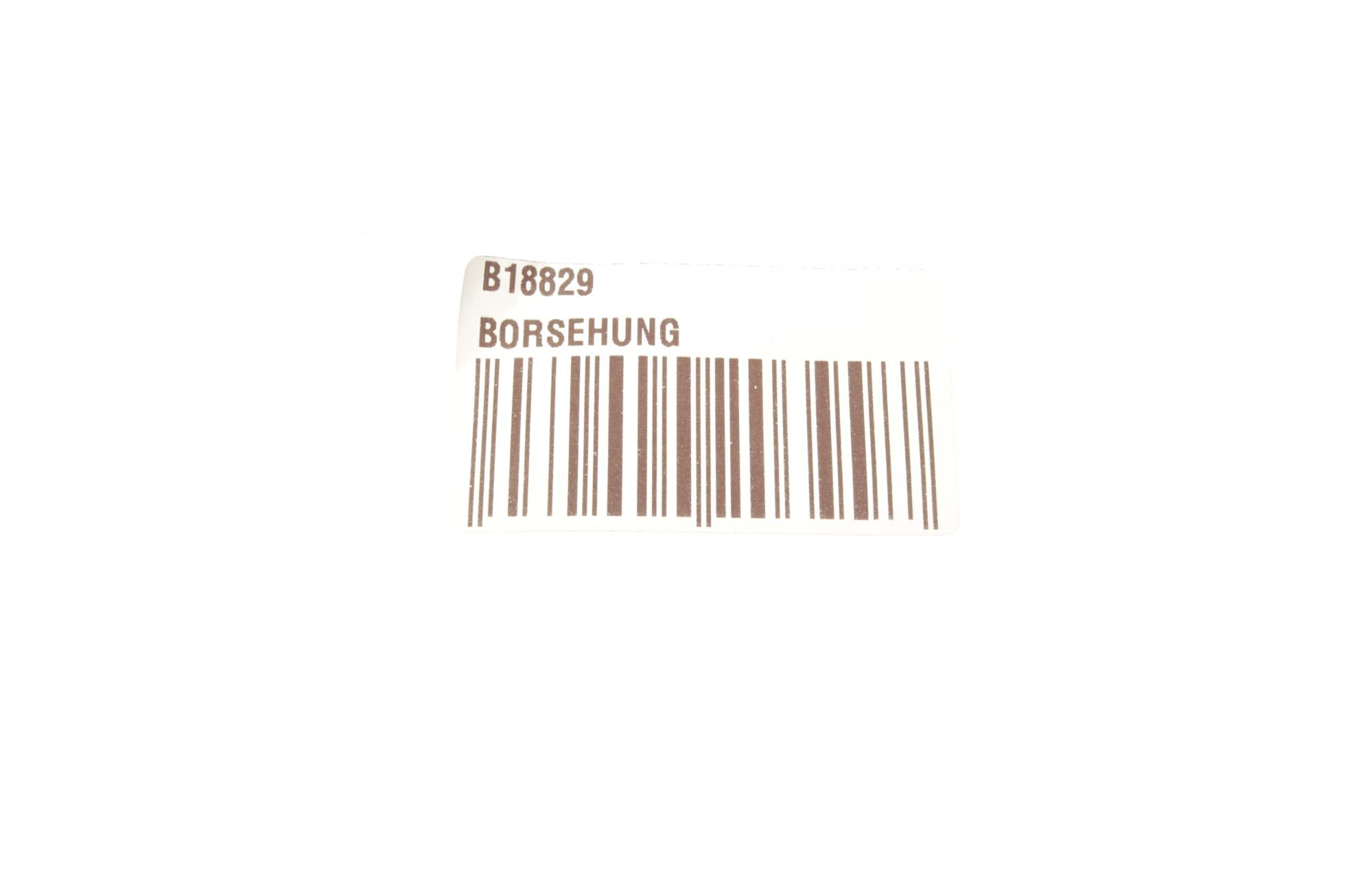 B18829 BORSEHUNG