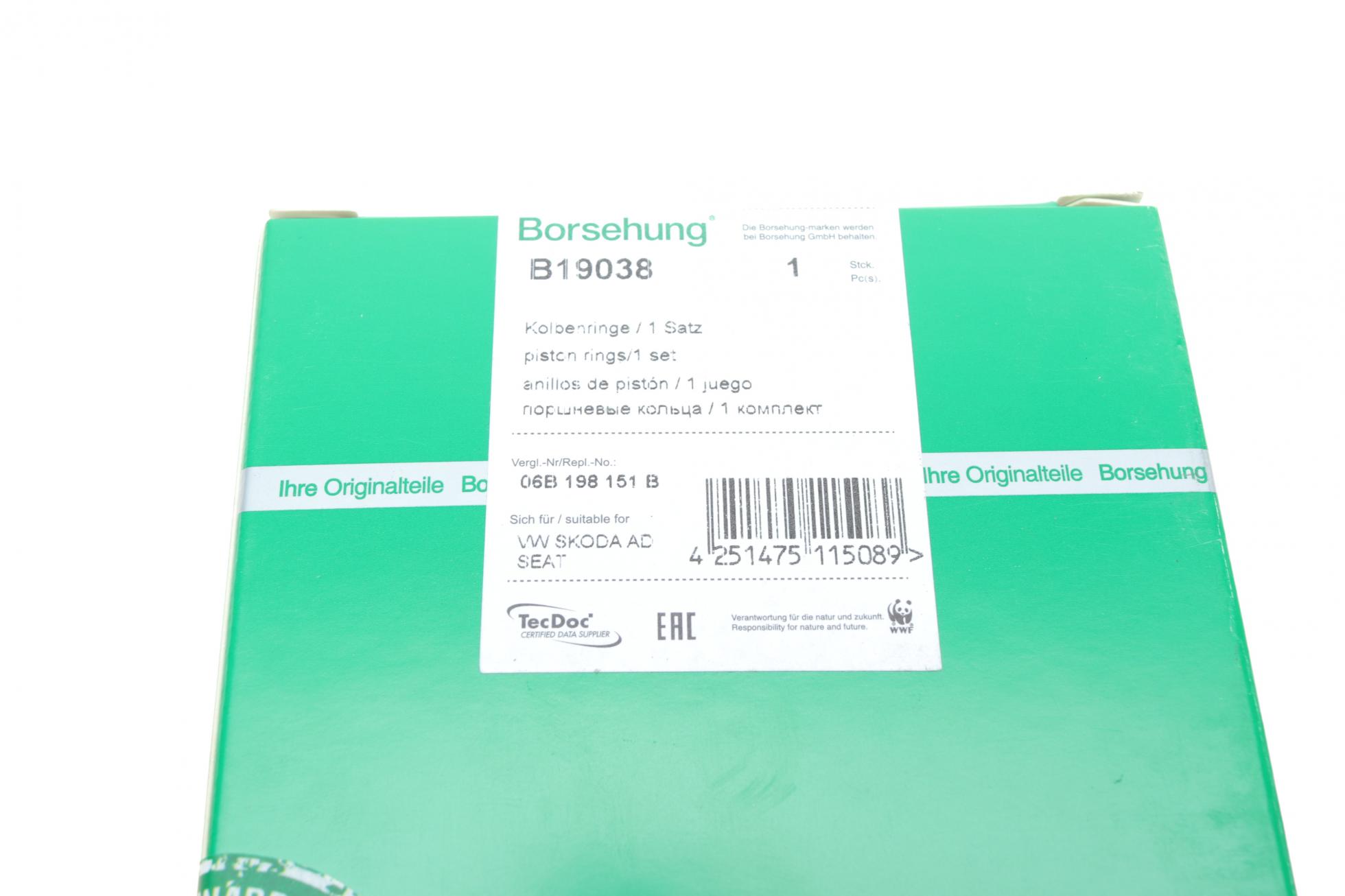 B19038 Borsehung