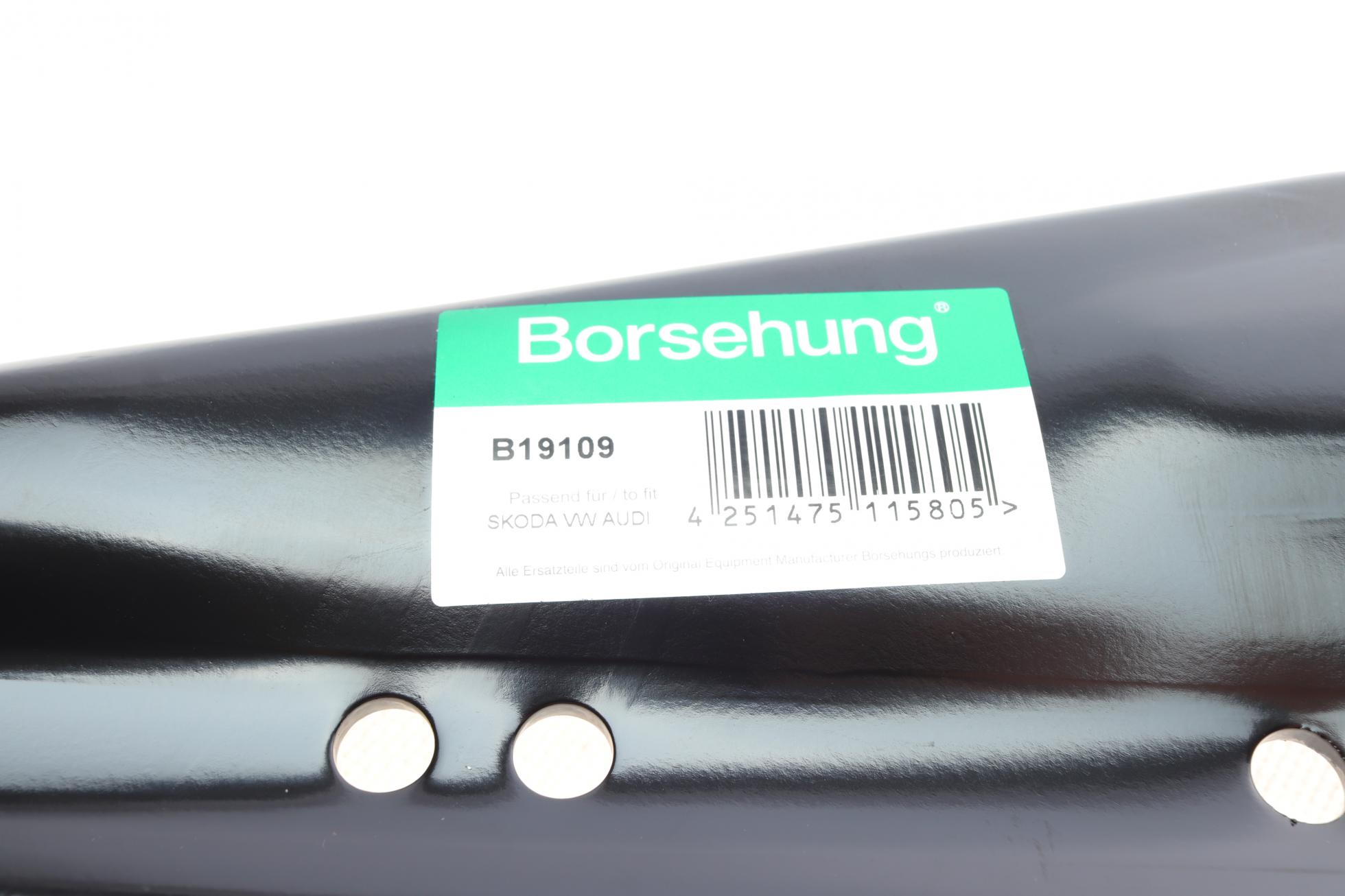 B19109 BORSEHUNG