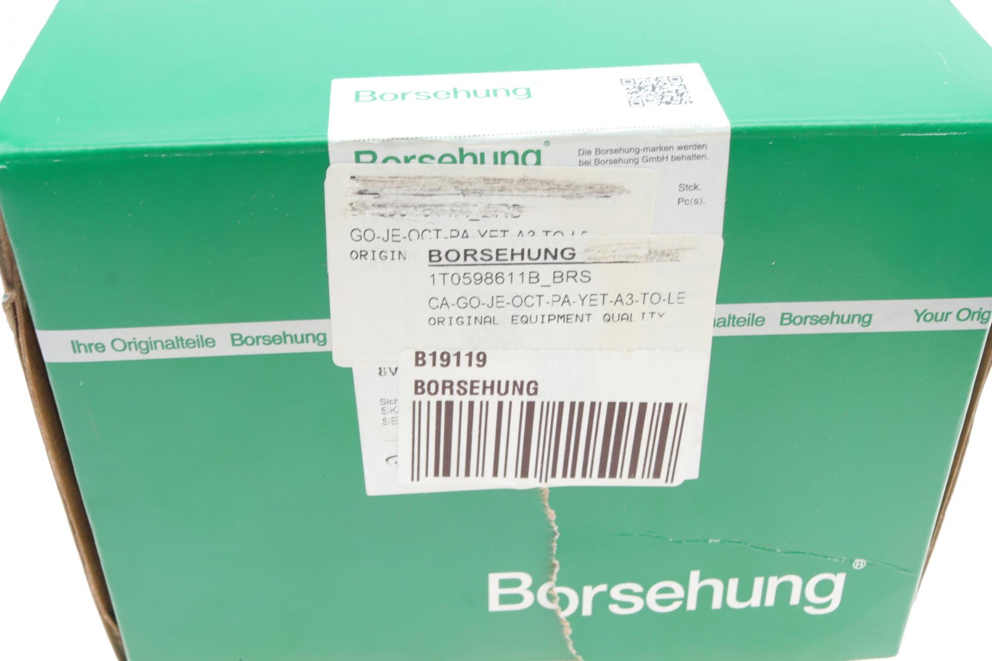 B19119 BORSEHUNG