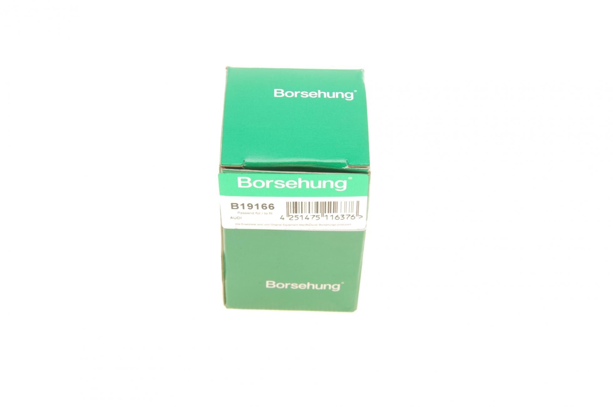 B19166 BORSEHUNG