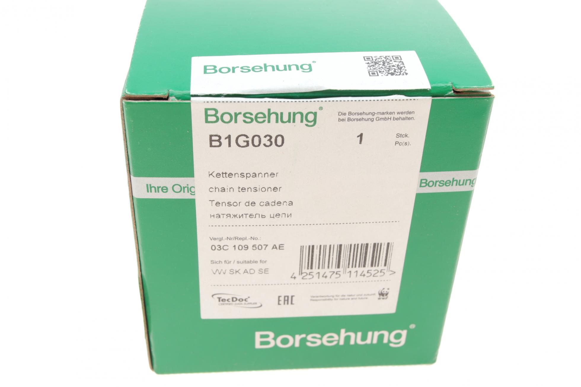 B1G030 BORSEHUNG