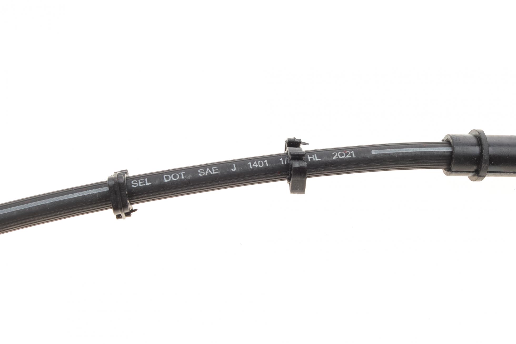 C800479B CAVO