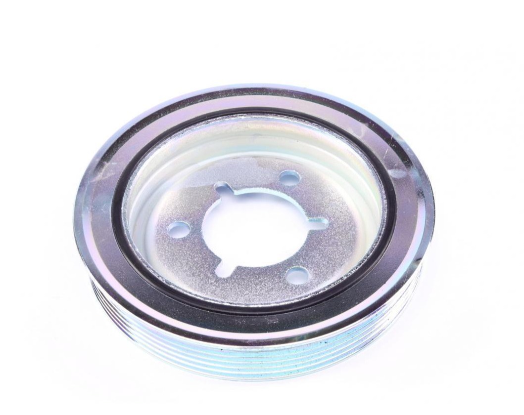 DPV1029 DAYCO