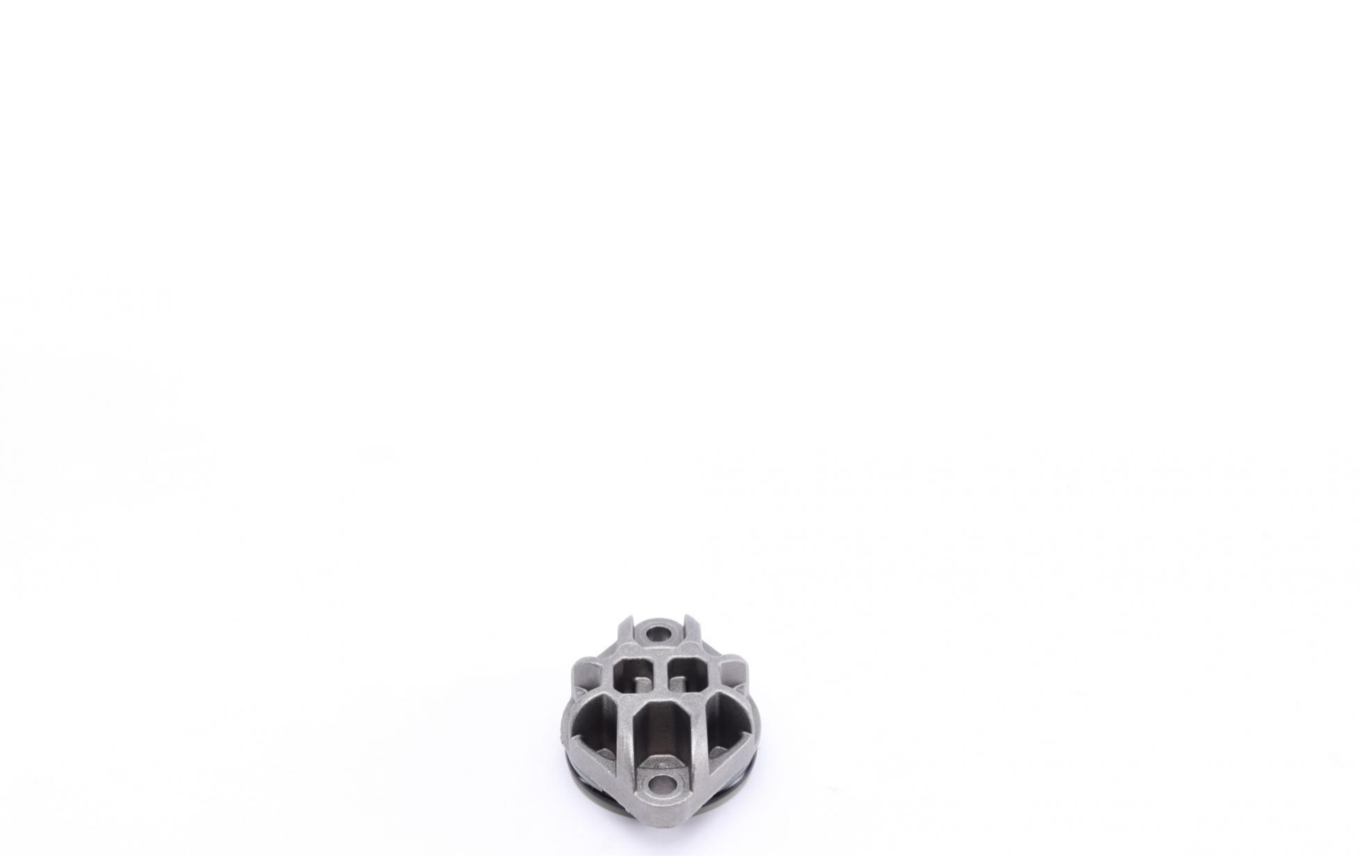 DS120356 BorgWarner