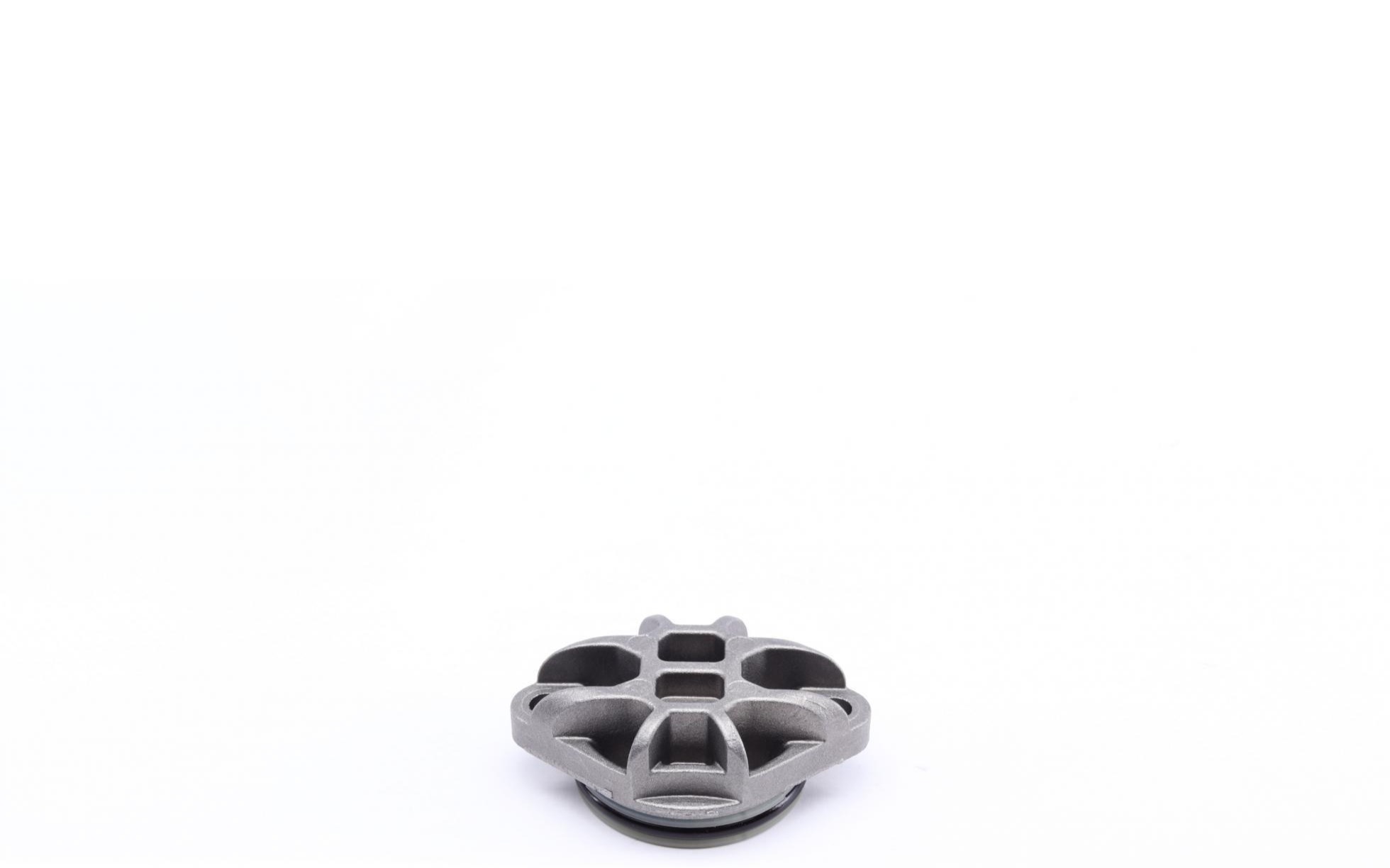 DS120356 BorgWarner