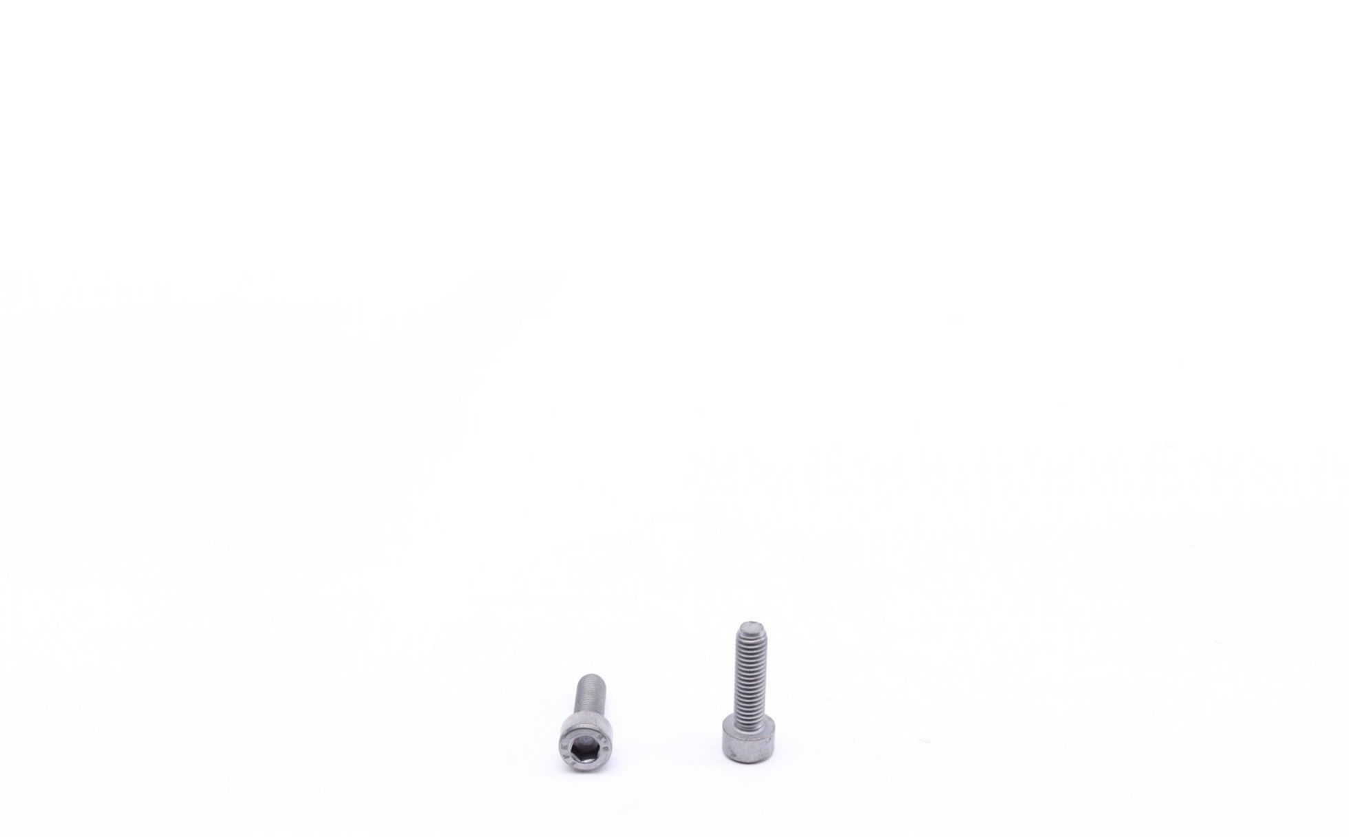 DS120356 BorgWarner