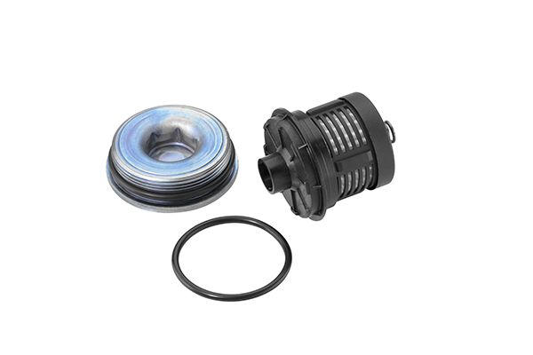 DS120456 BORGWARNER