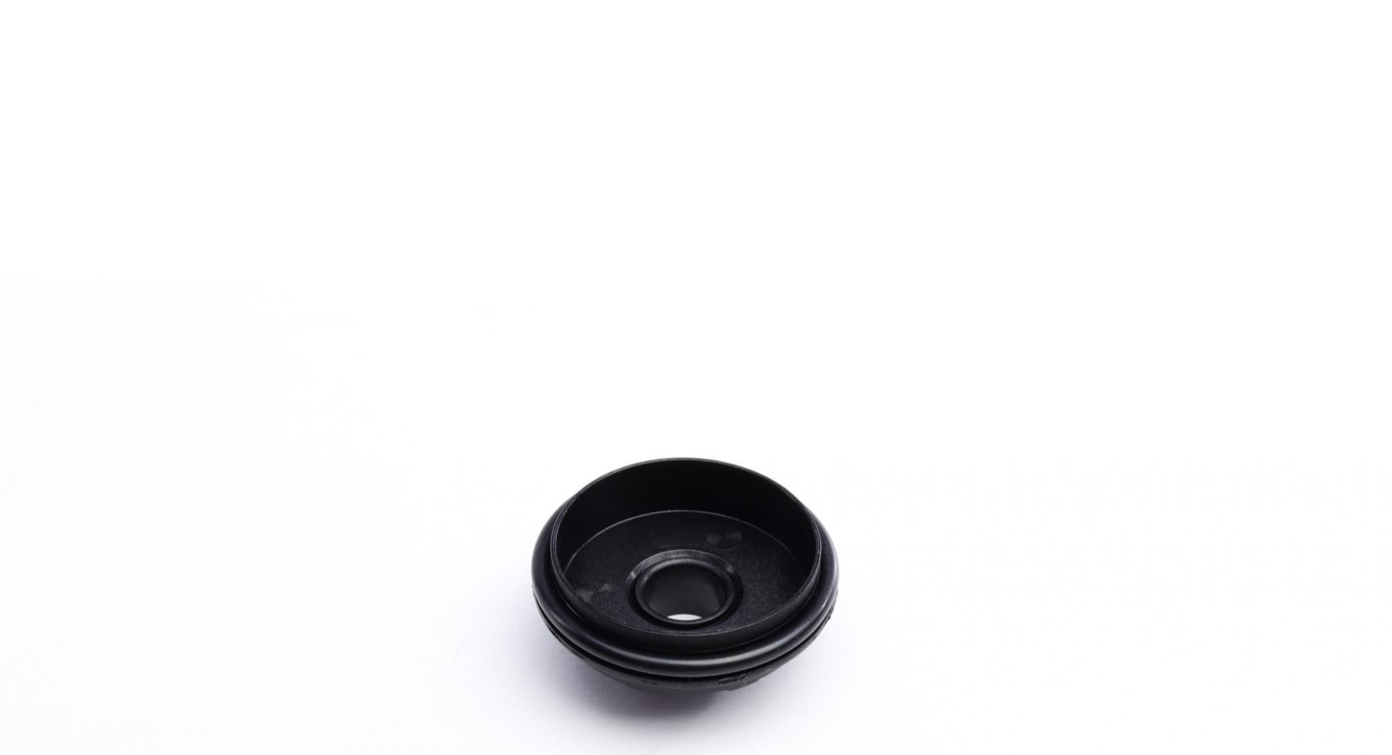 DS120456 BORGWARNER
