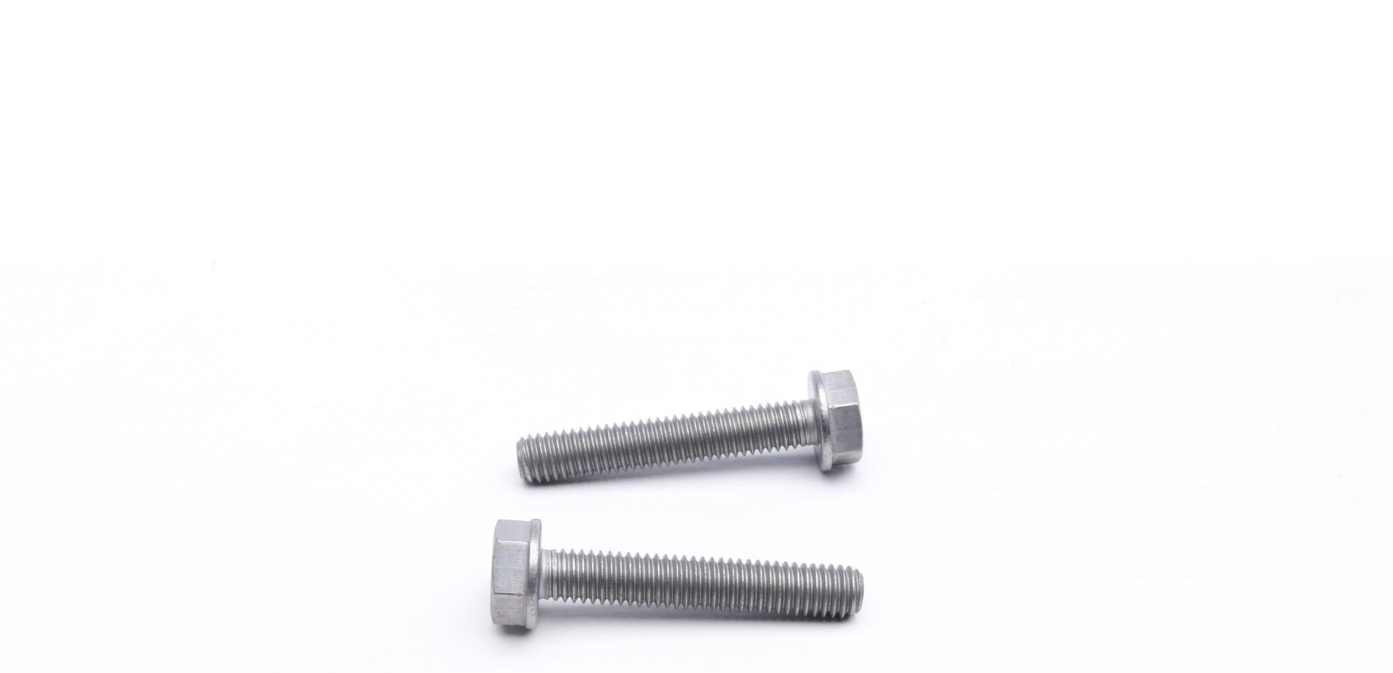DS2002773 BorgWarner