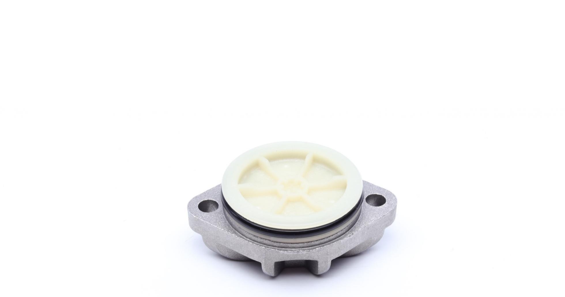 DS2002968 BORGWARNER