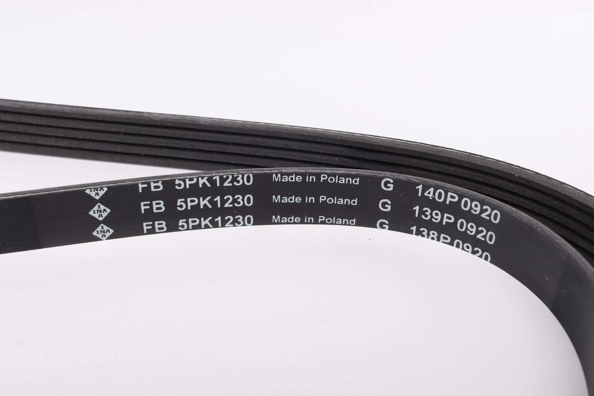 FB5PK1230 INA