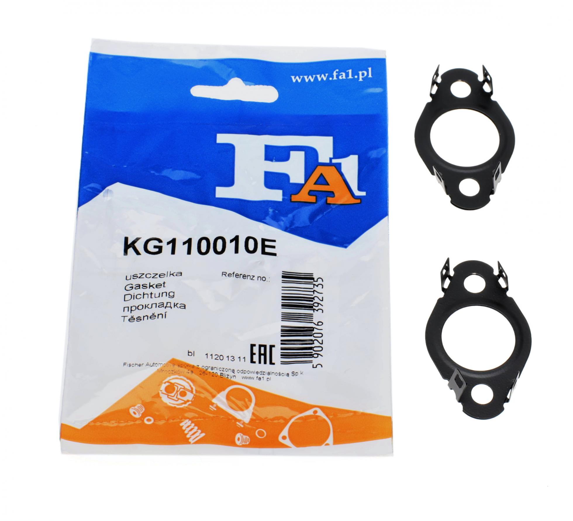 KG110010E FA1