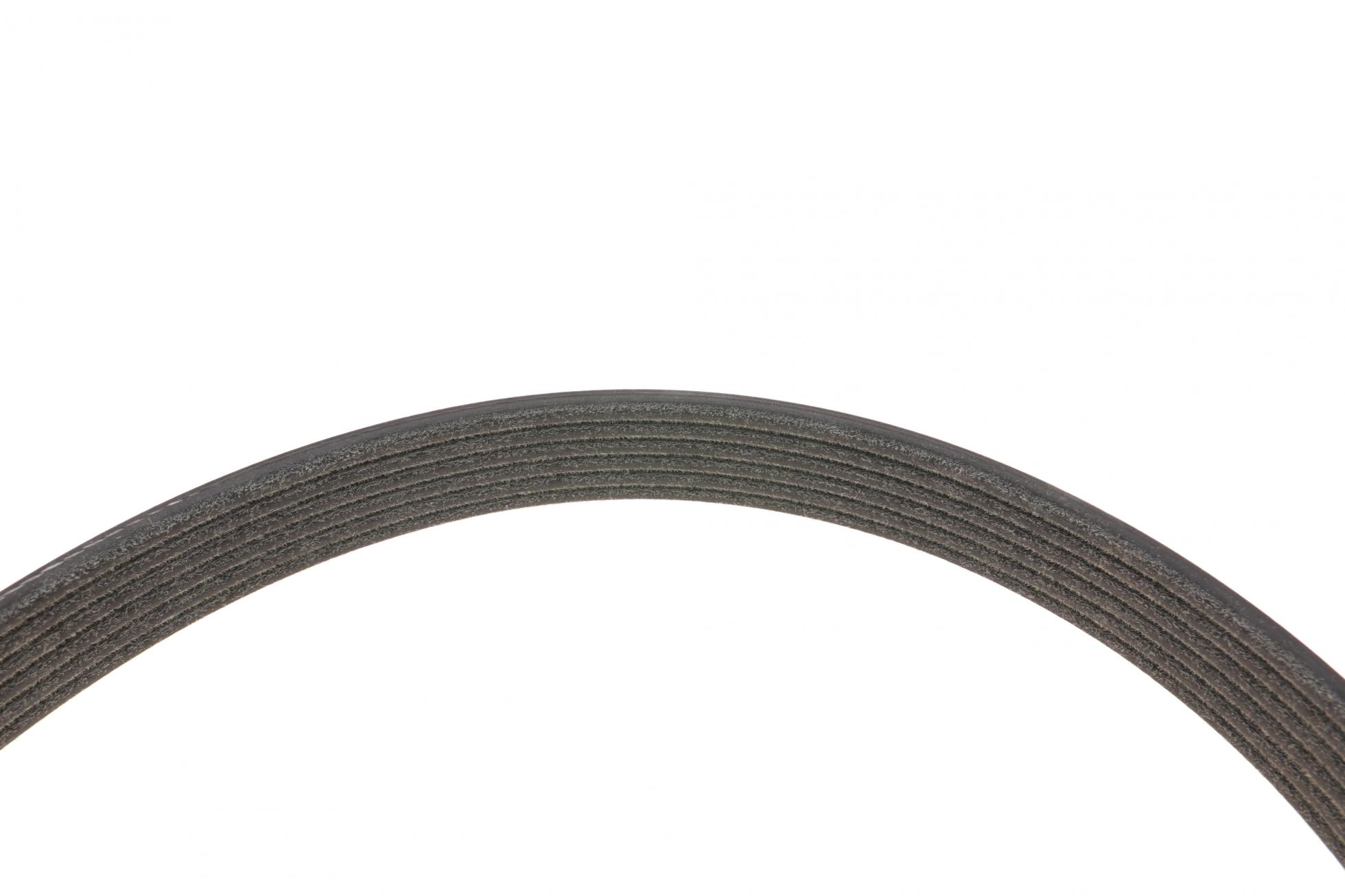 KPV419 DAYCO