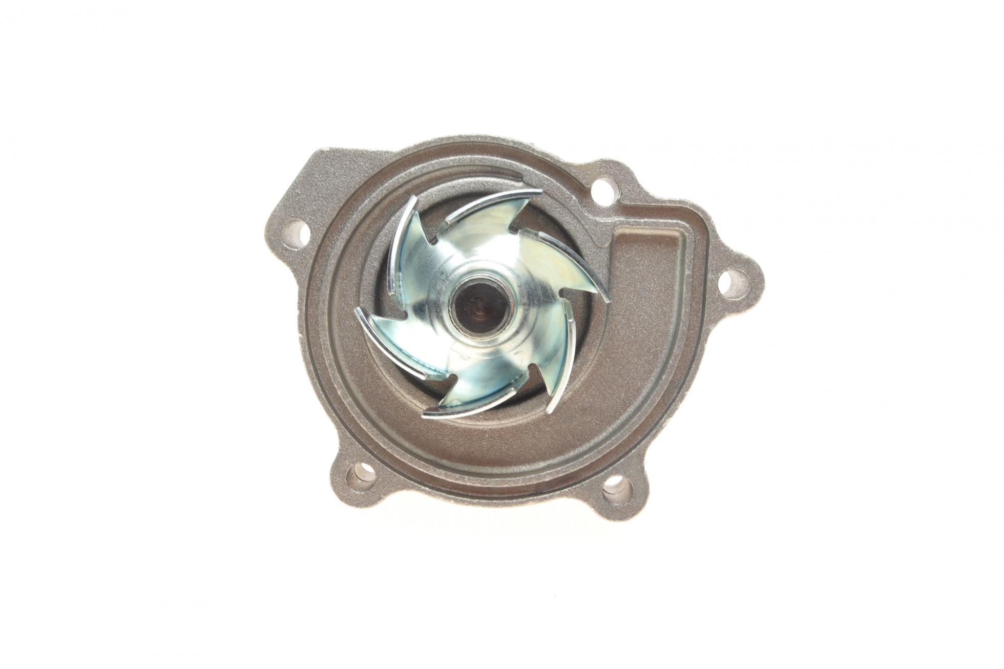 P141 HEPU