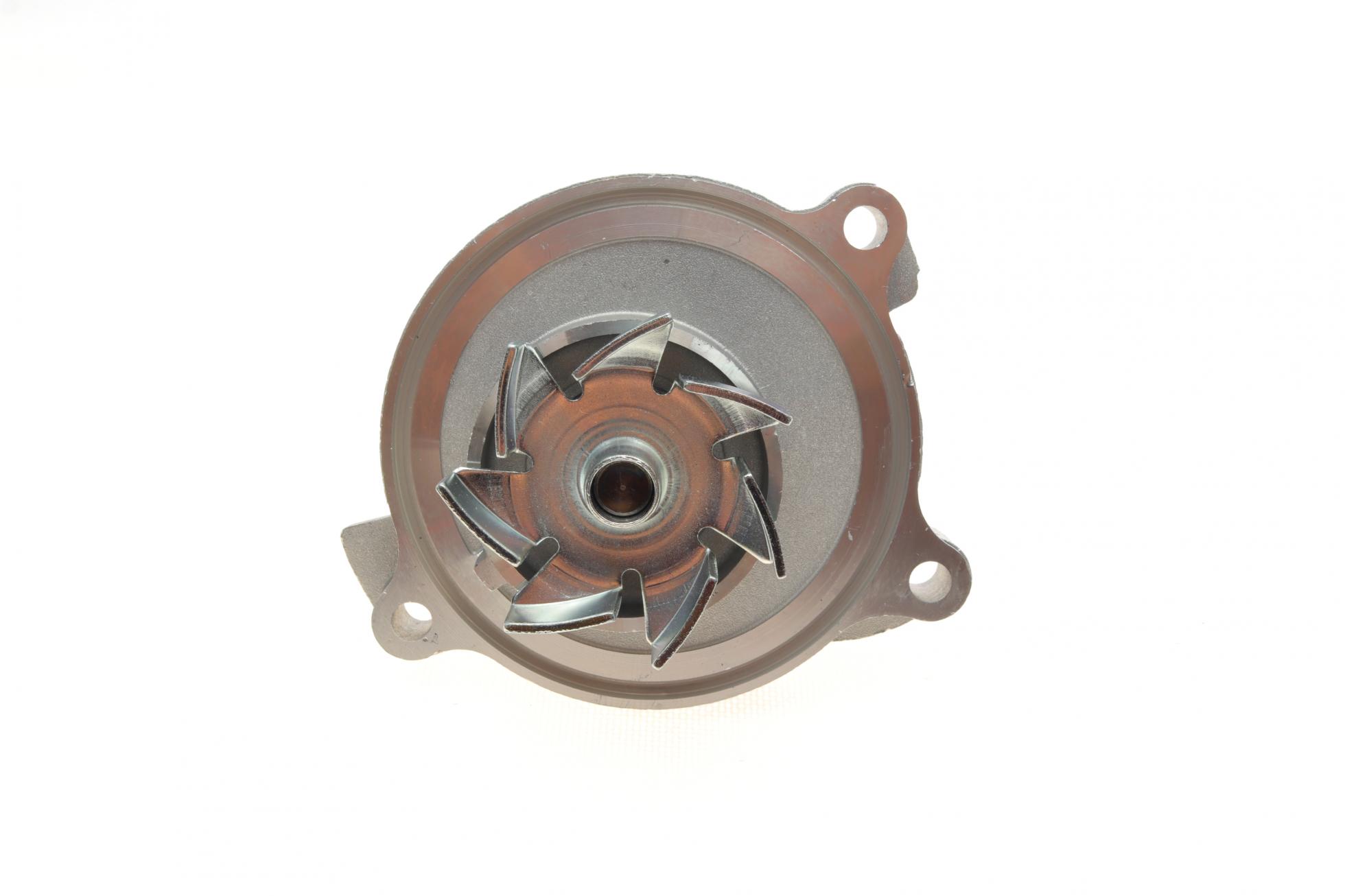 P536 HEPU