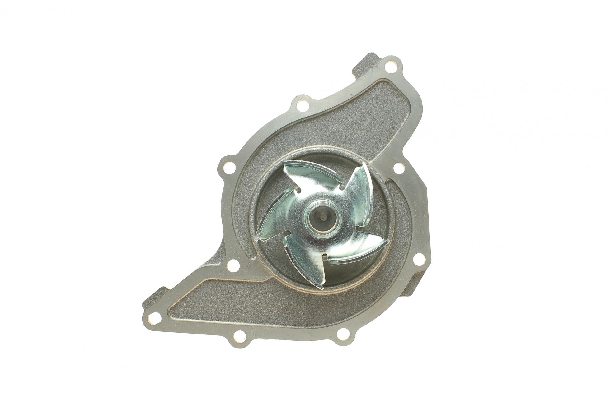 P562 HEPU