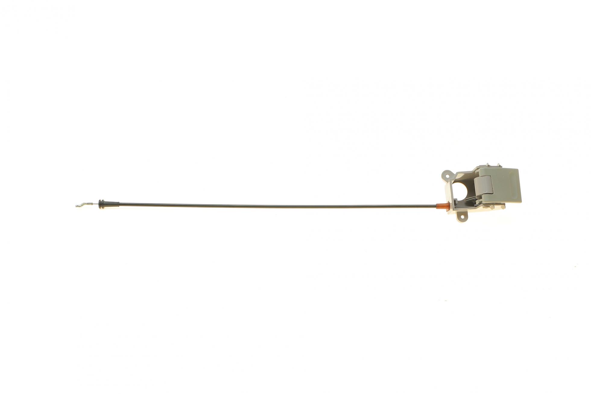 RWS1599 RotWeiss