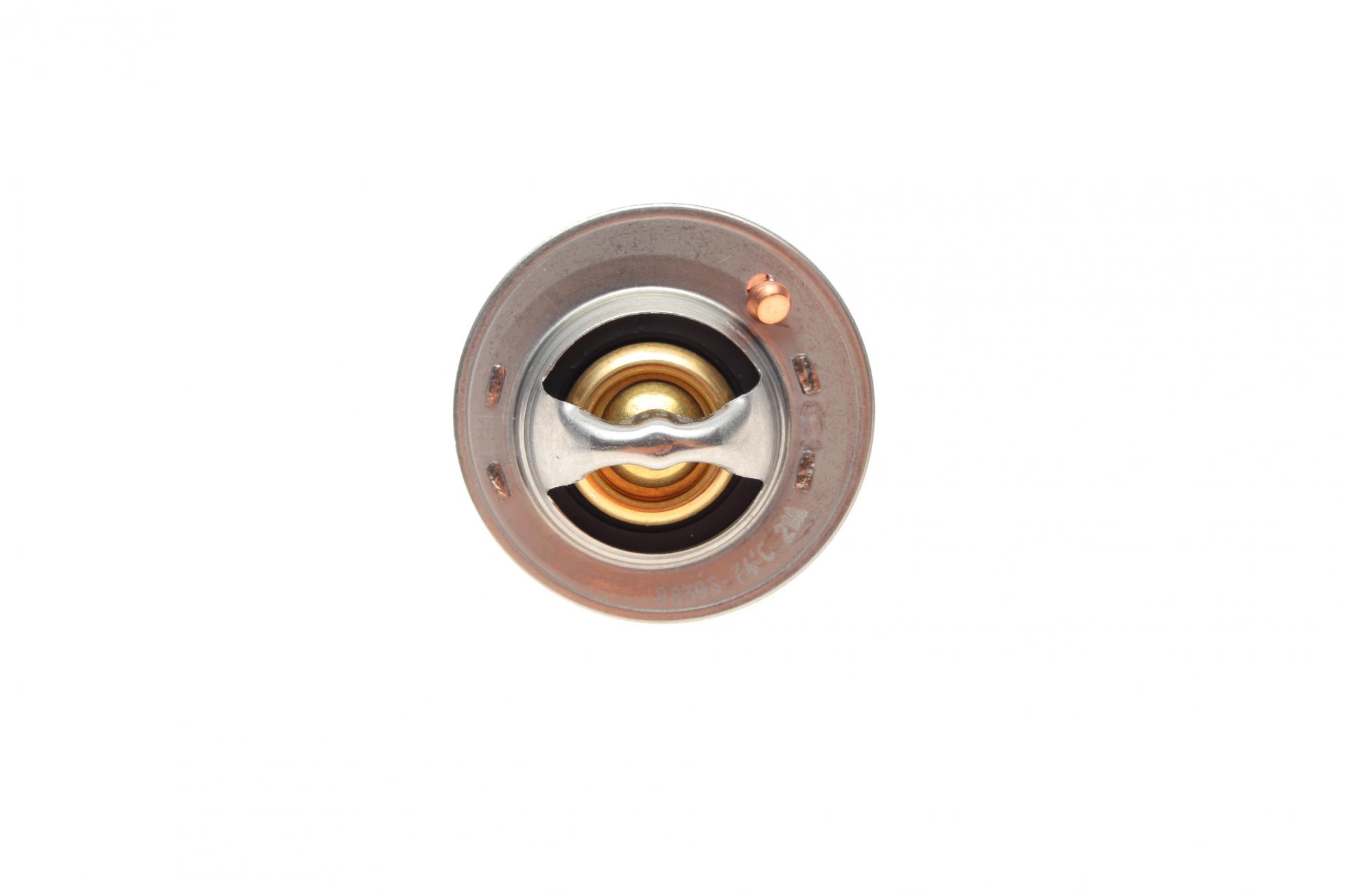 TX12174D MAHLE