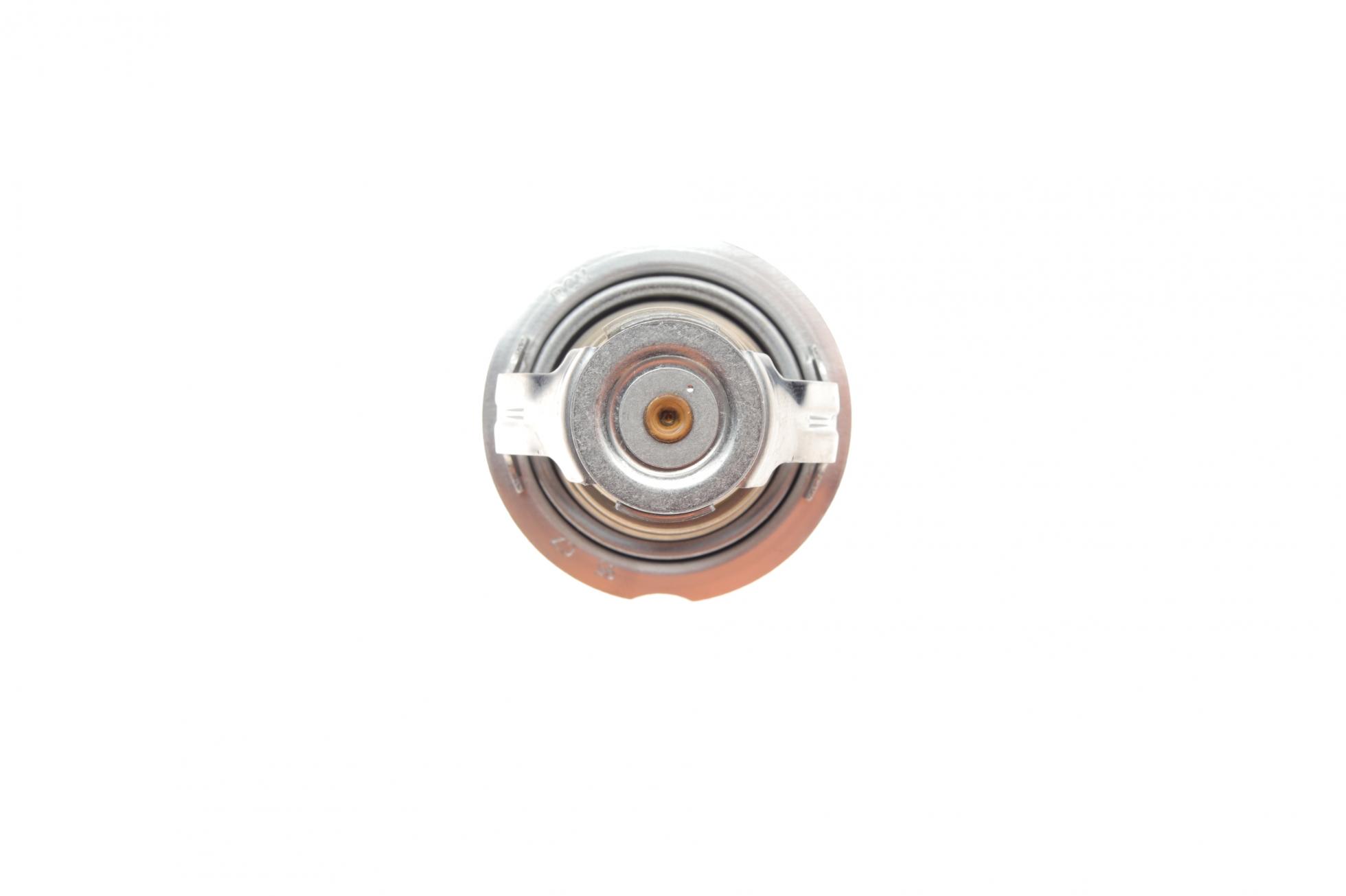TX12395D MAHLE