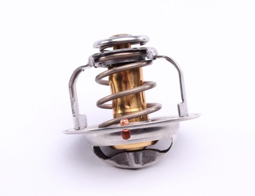 TX17989D MAHLE