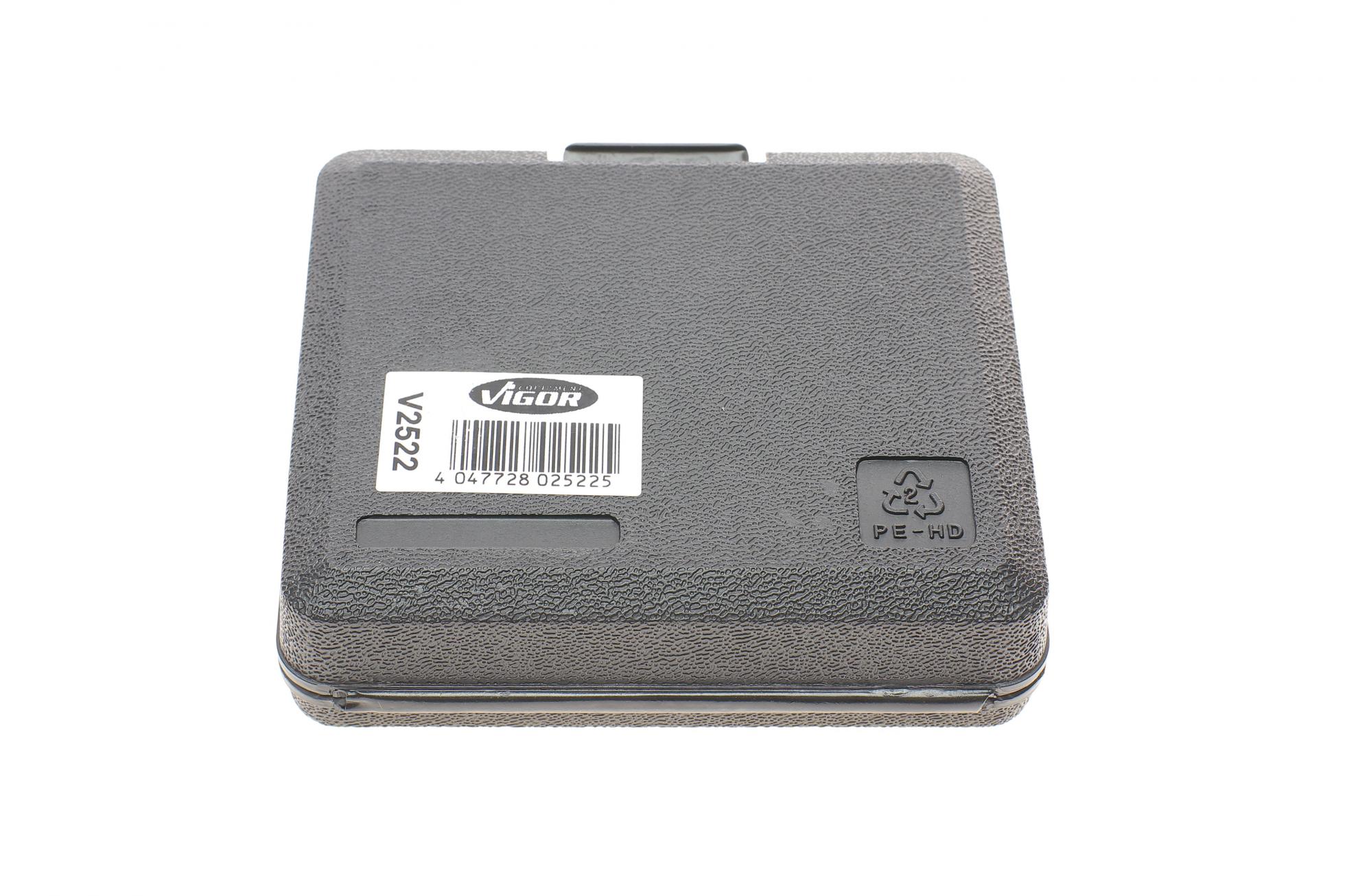 V2522 VIGOR
