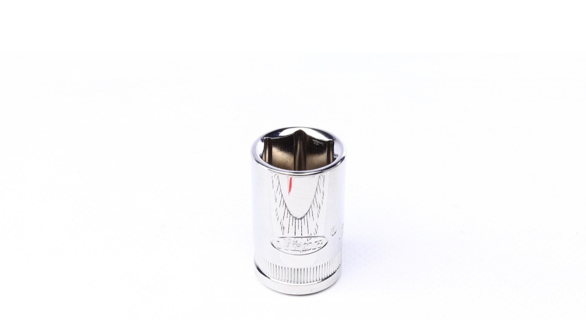 V2563N VIGOR