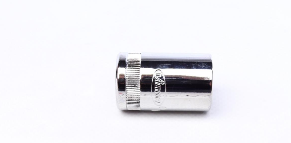 V2563N VIGOR
