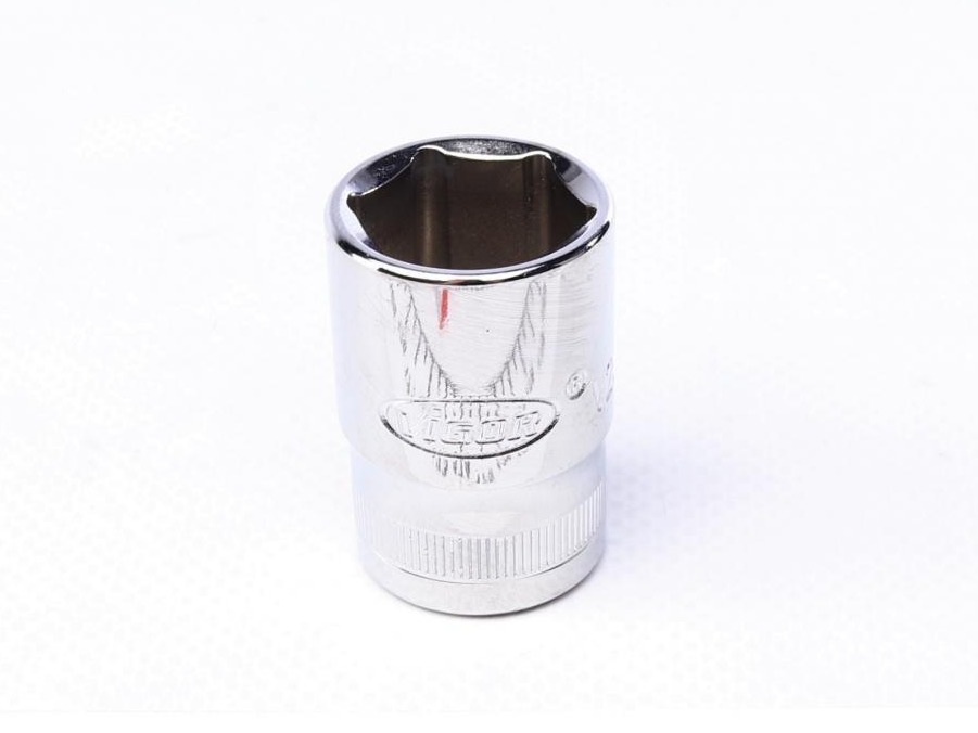 V2565N VIGOR