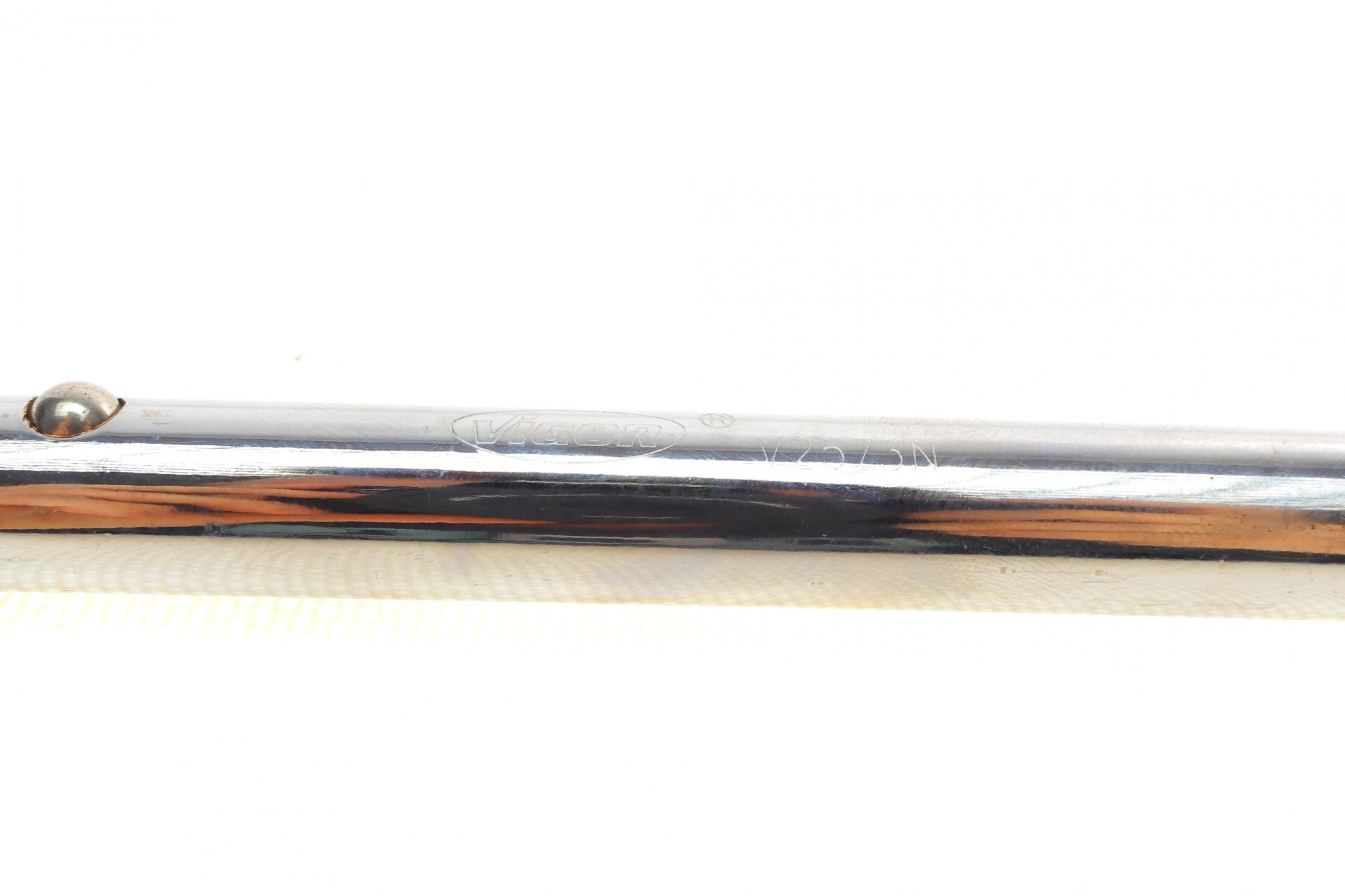 V2573N VIGOR