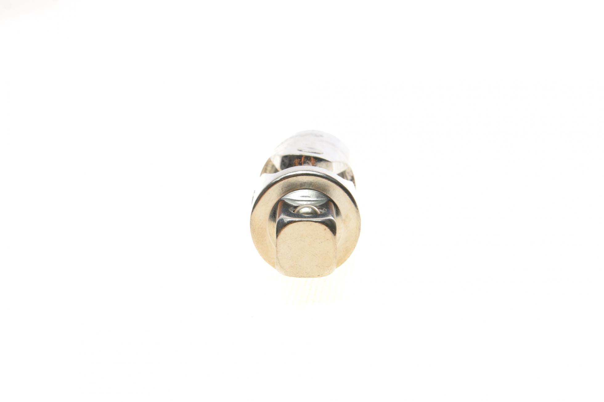 V2575N VIGOR