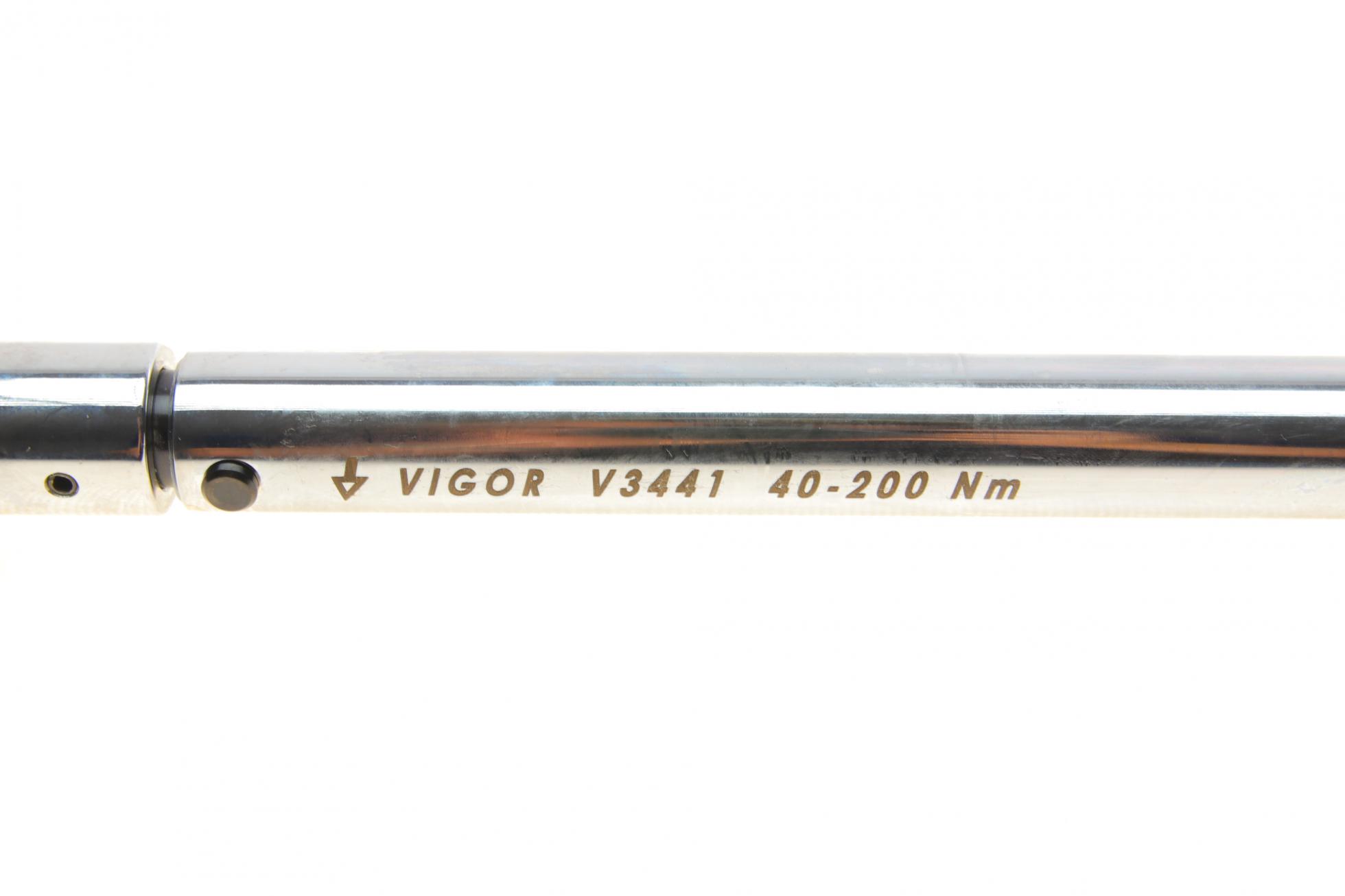 V3441 VIGOR