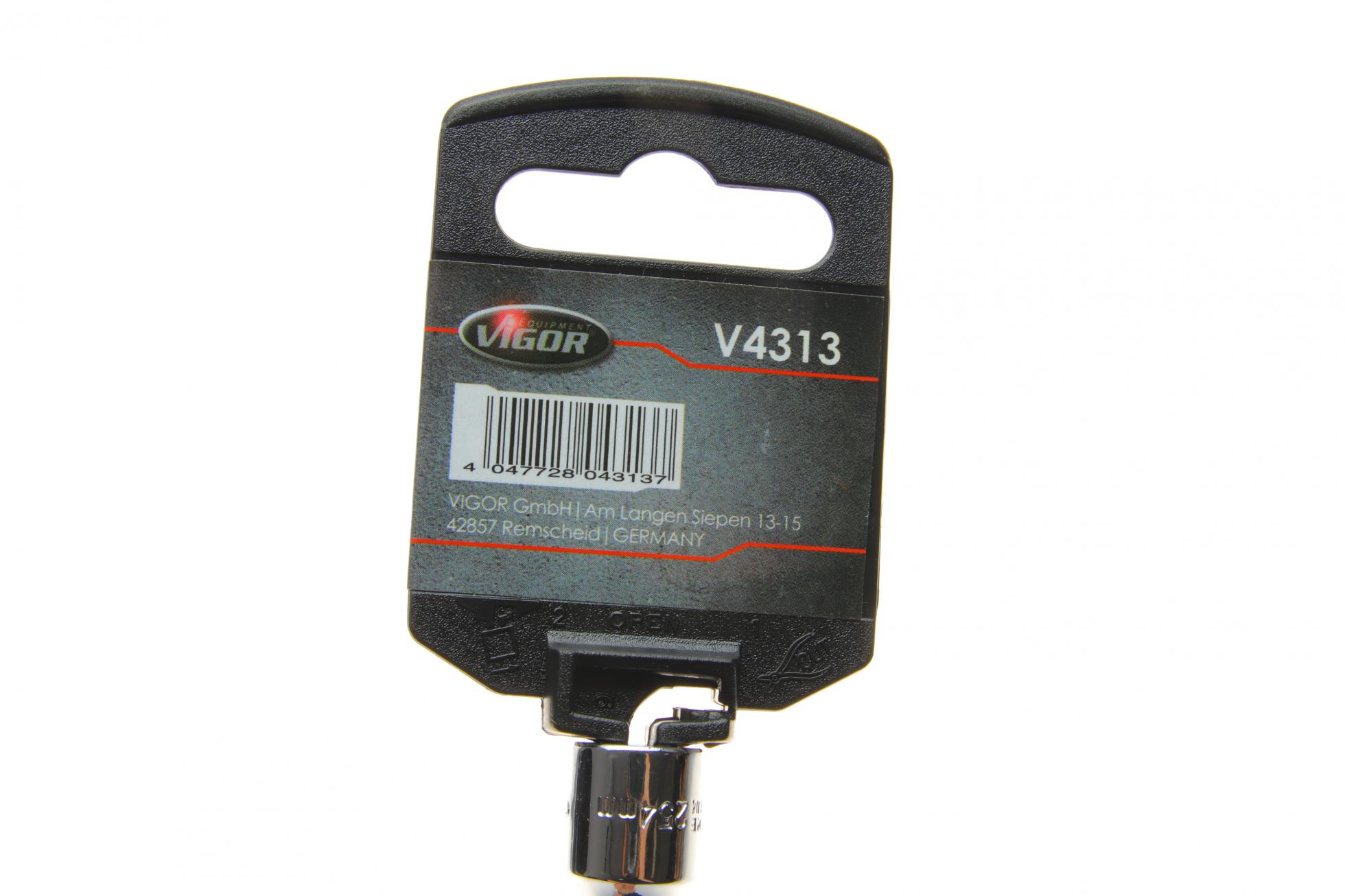 V4313 VIGOR