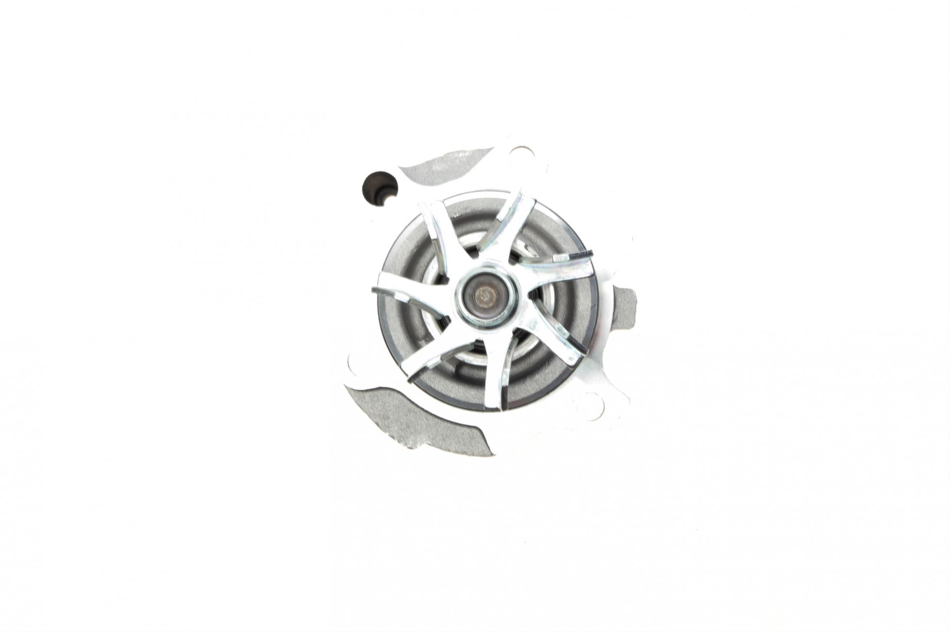 WP6041 CONTITECH